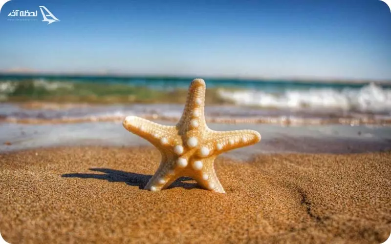 آب و هوای قشم در فصل بهار