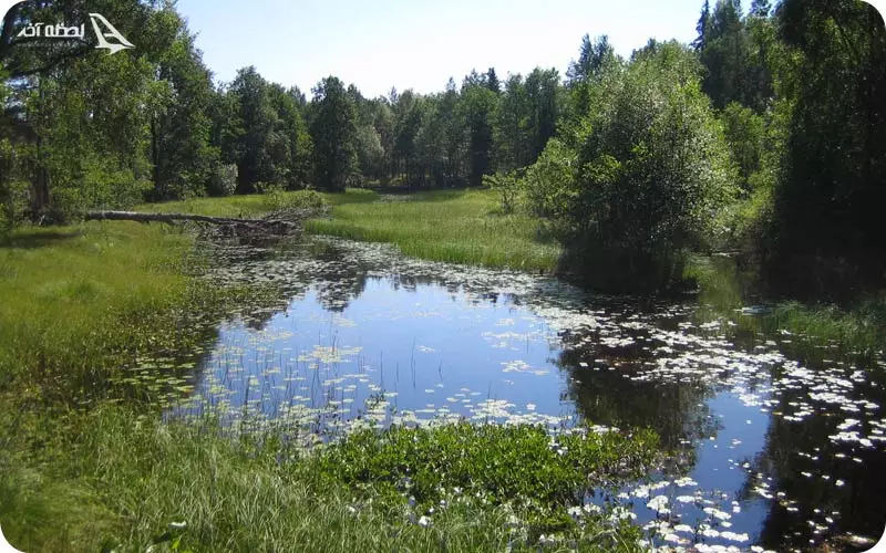 منطقه حفاظت شده کبولتی