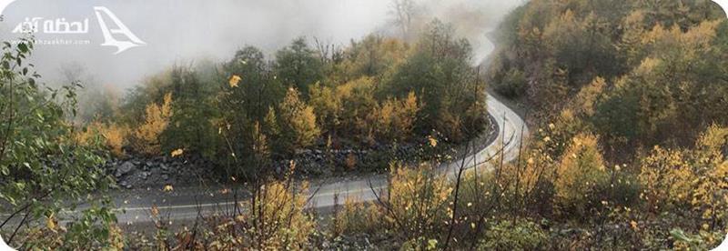 عکس جنگل توسکستان