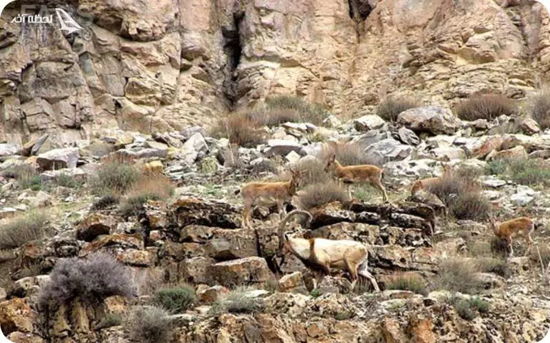 معرفی پارک تندوره