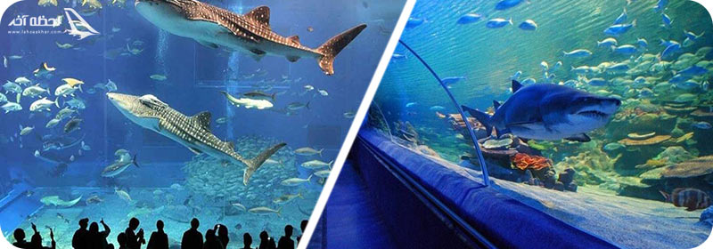آکواریوم استانبول