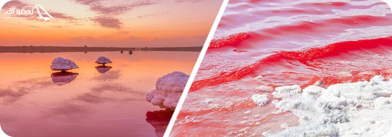 دلیل صورتی بودن دریاچه لیپار