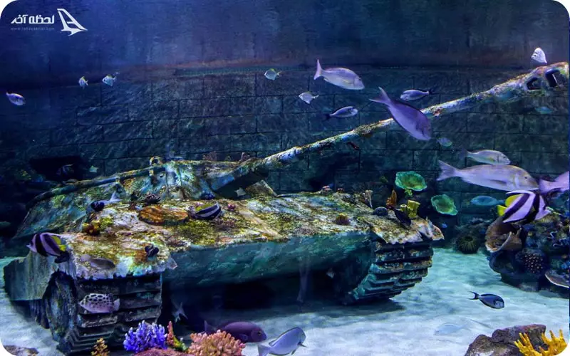 تفریحات آکواریوم انزلی