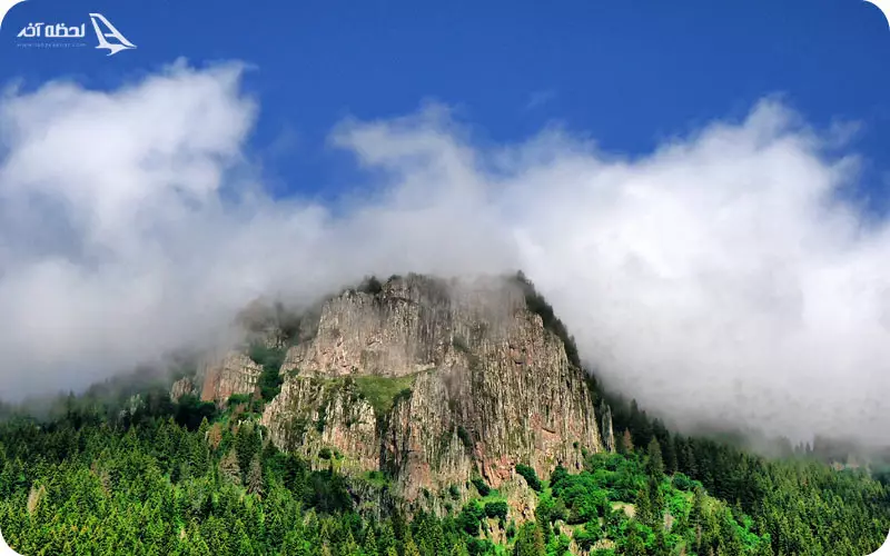 پیاده روی جنگلی در نوویاستاتا