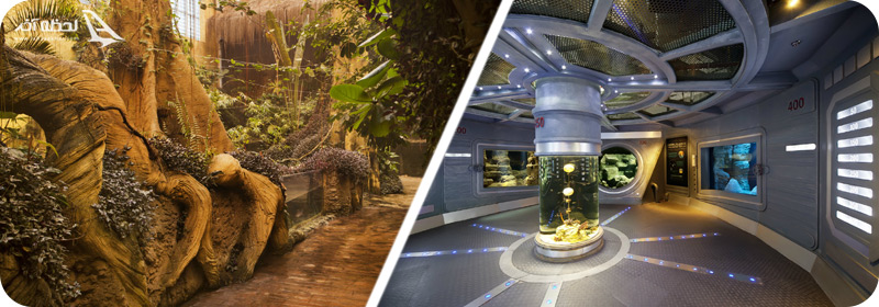 اقیانوس آرام و جنگل های آمازون