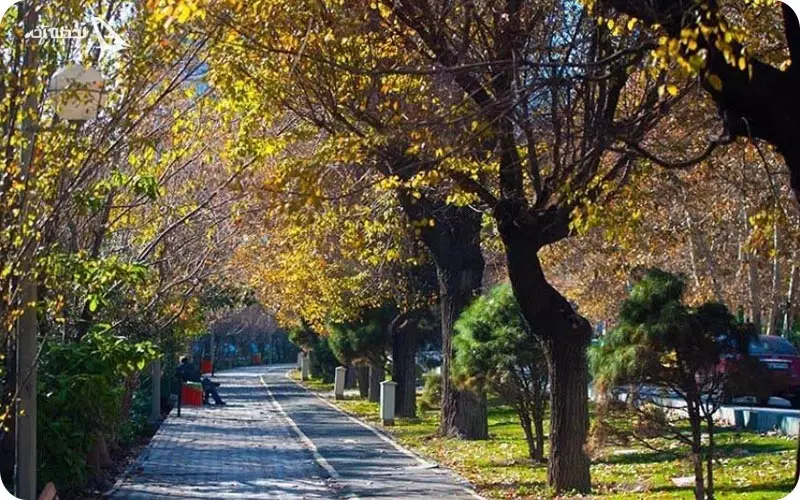 بلوار کشاورز