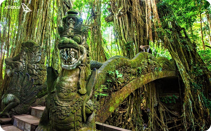 طبیعت ابود بالی