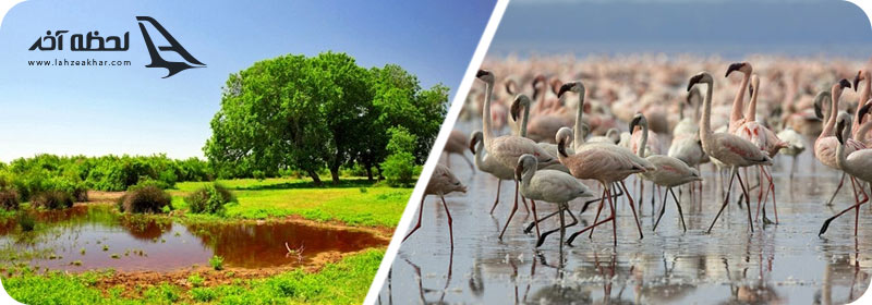 شبه جزیره میانکاله