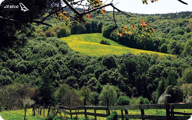 منطقه پولونزکوی