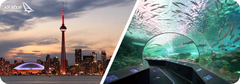 برج سی ان/آکواریوم ریپلی کانادا