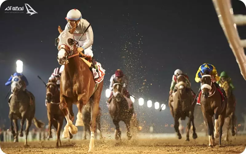 فستیوال اسب دوانی