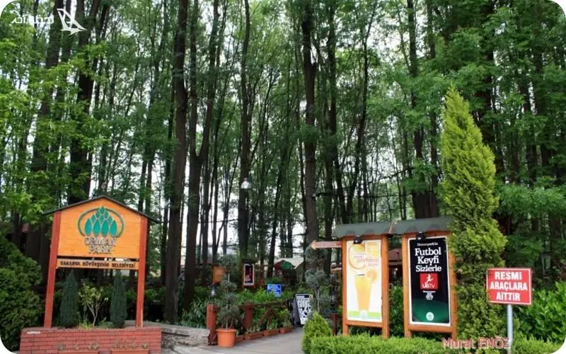 پارک کارا اوغلی