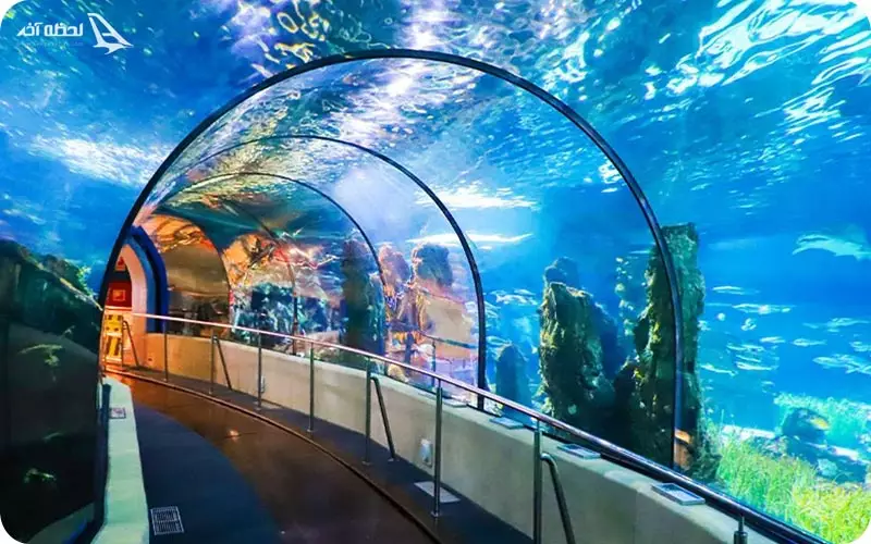 آکواریوم کیش