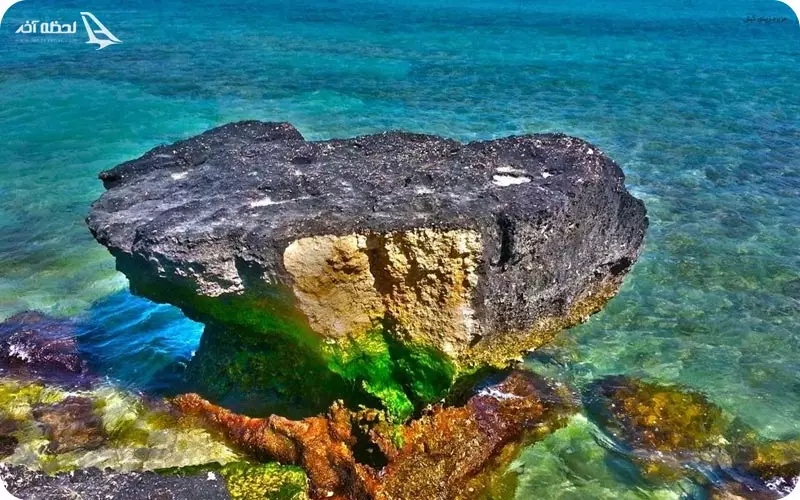 از قشم تا کیش