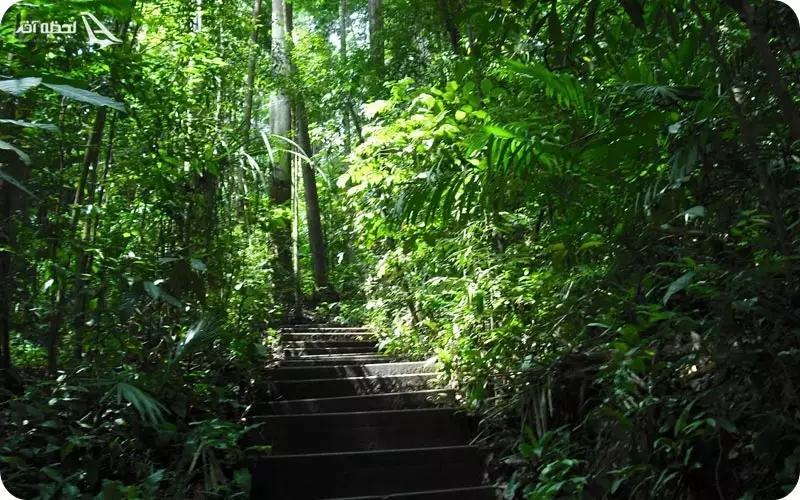 مسیرهای رویایی مالزی