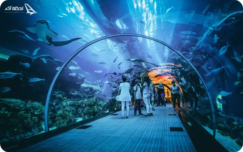 آکواریوم دبی