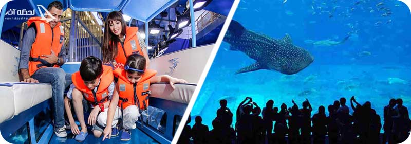 تفریحات آکواریوم دبی
