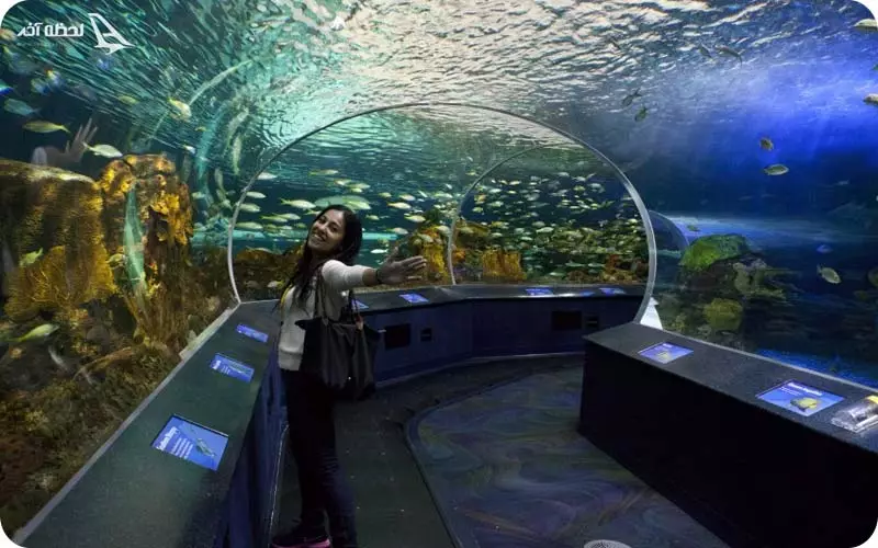 استودیو آکواریوم اصفهان