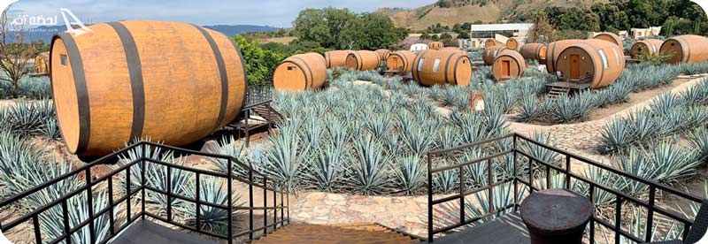 هتل ساخته شده از 30 بشکه در مکزیک