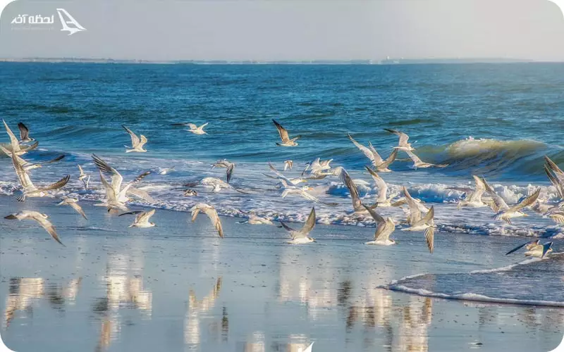 موقعیت اقتصادی چابهار و قشم