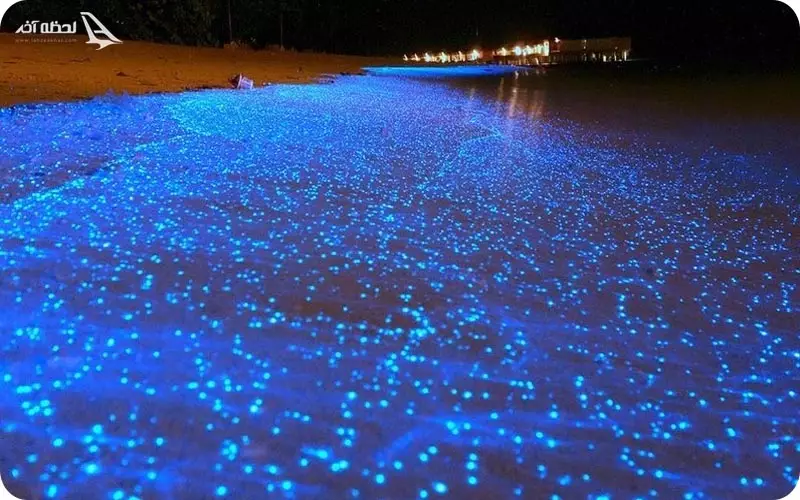 ساحل نقره ای قشم