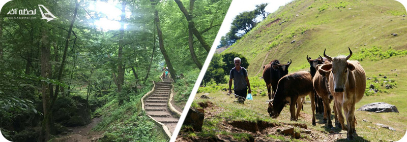 ییلاق کوربار و پارک جنگلی ماسوله