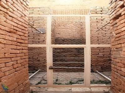 زیگورات چغازبیل