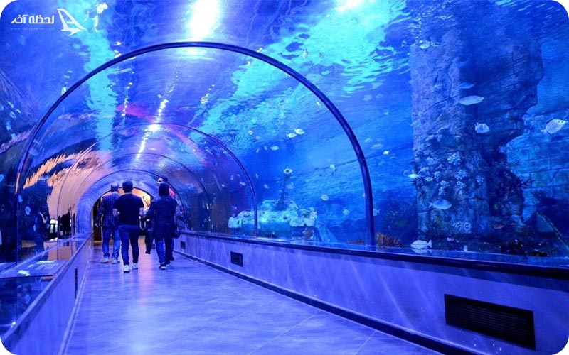 آکواریوم بزرگ انزلی