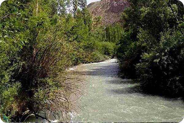 معرفی جتگل جیغ