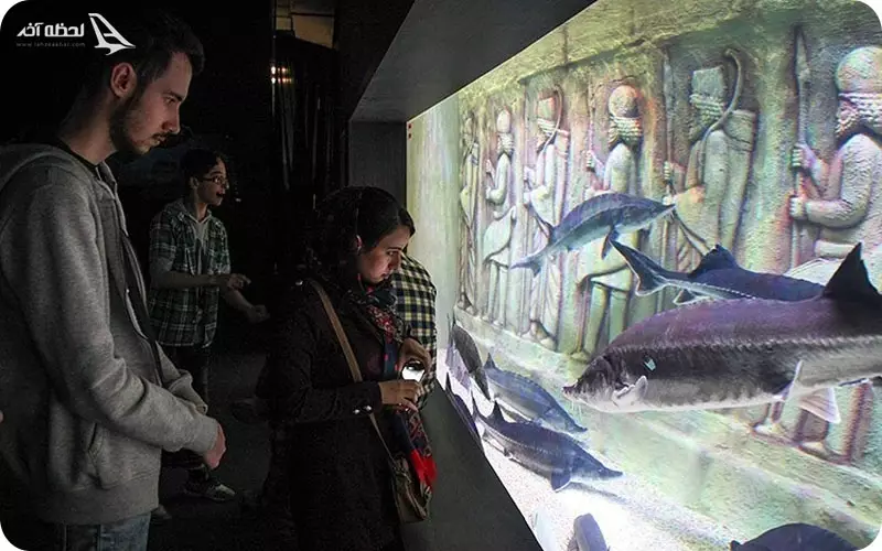 آکواریوم فلت اصفهان