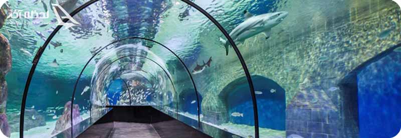 آکواریوم اصفهان
