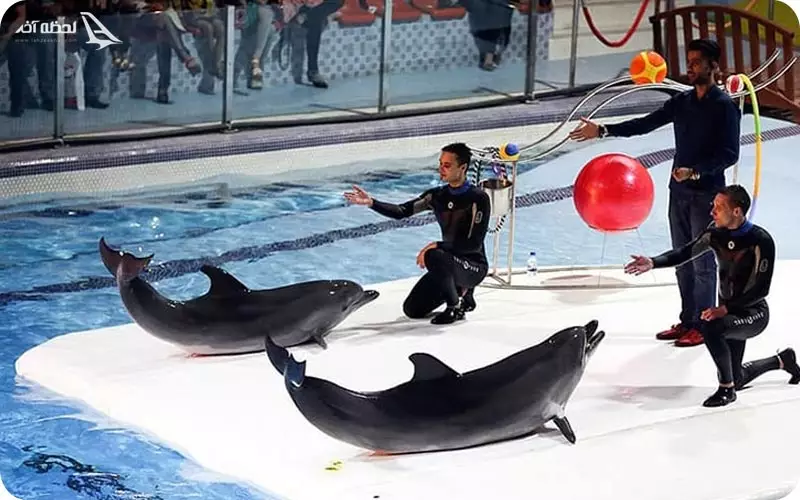 دلفیناریوم برج میلاد