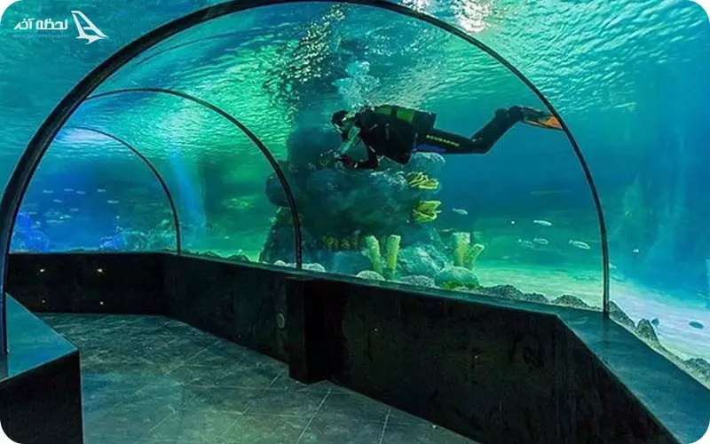 آکواریوم اصفهان
