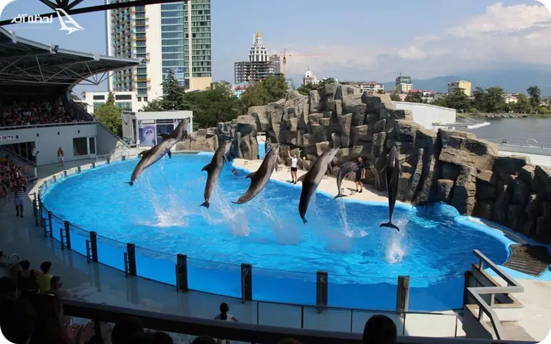 دلفیناریوم