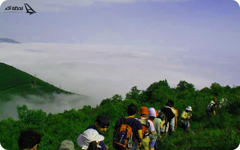 مسیر دسترسی به جنگل ابر