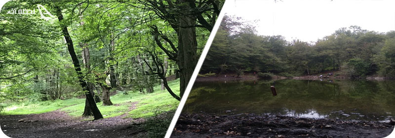 دسترسی به مرداب هسل