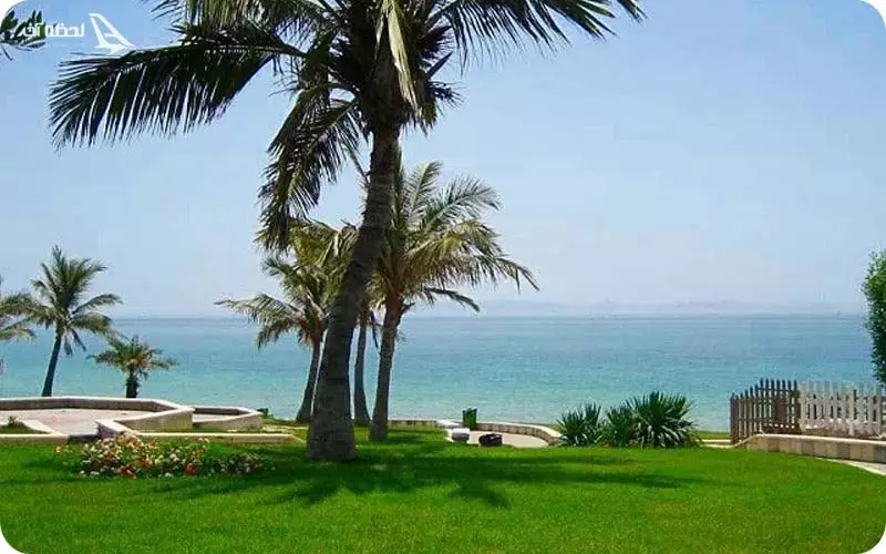 امکانات پارک زیتون