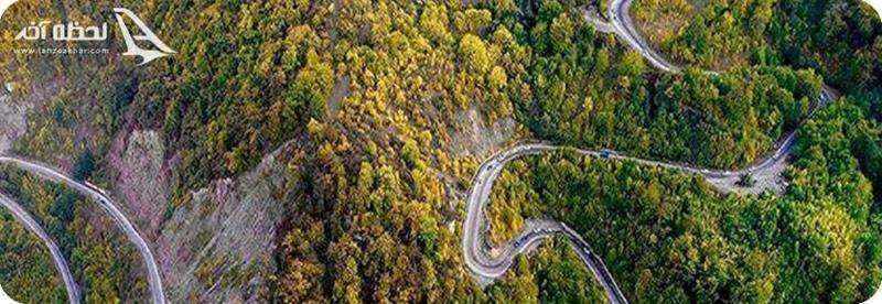 جنگل توسکستان