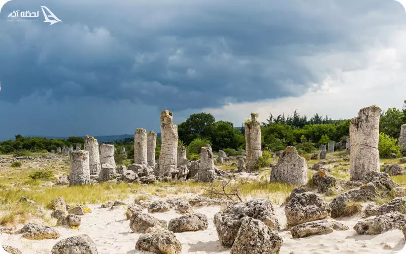 جنگل سنگی وارنا