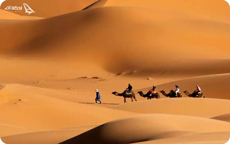 کویرنوردی در صحرای عرب