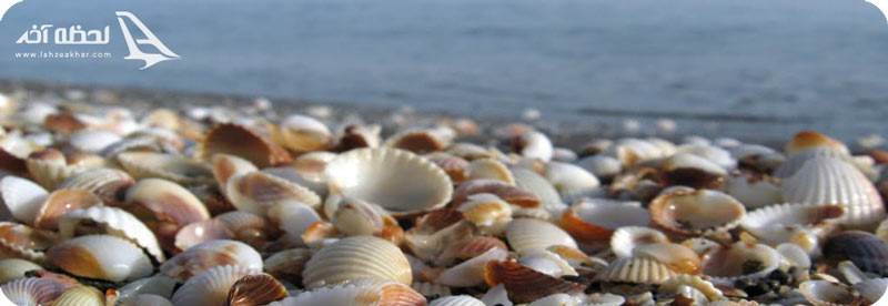 ساحل صدف