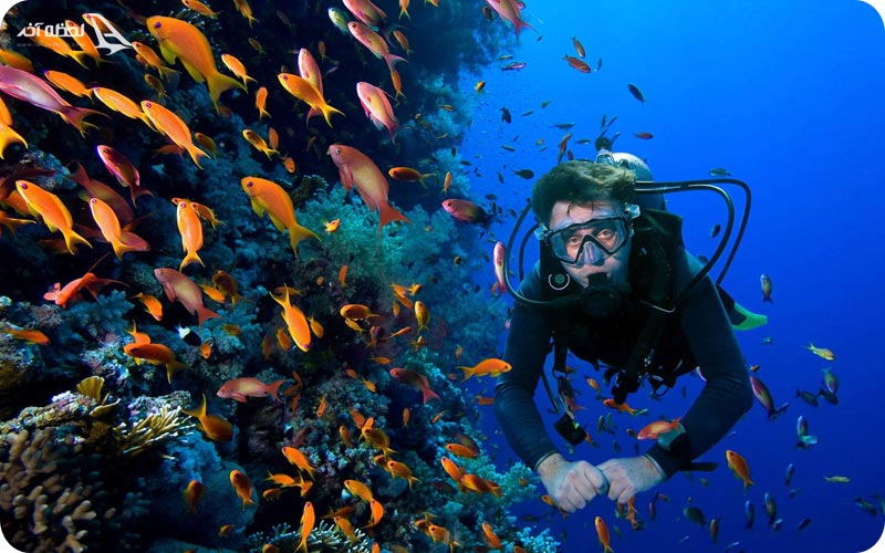 غواصی در قشم