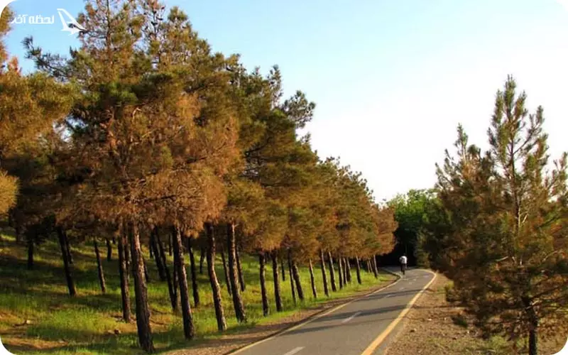 پارک جنگلی چیتگر