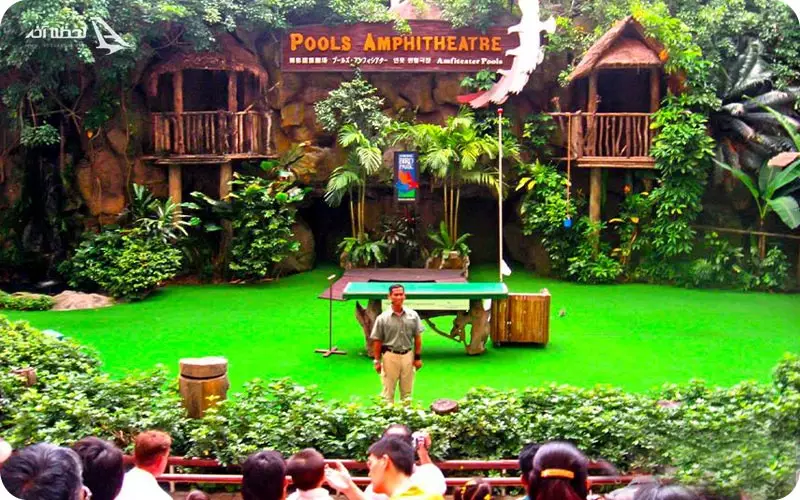 نمایش های باغ پرندگان سنگاپور