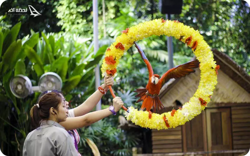 باغ پرندگان سنگاپور