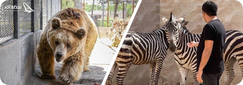 بزرگترین باغ وحش کرج