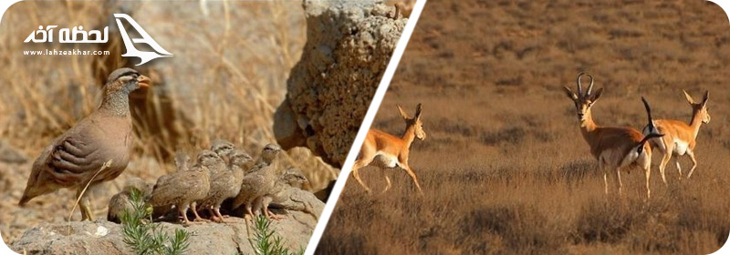 پارک-ملی-بمو کجاست؟