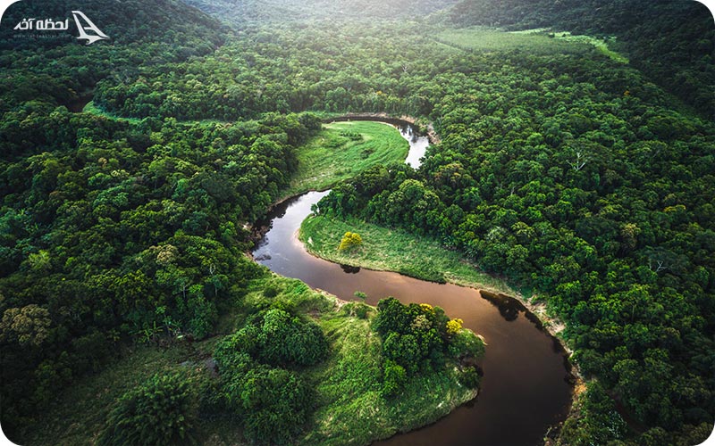جنگل آمازون