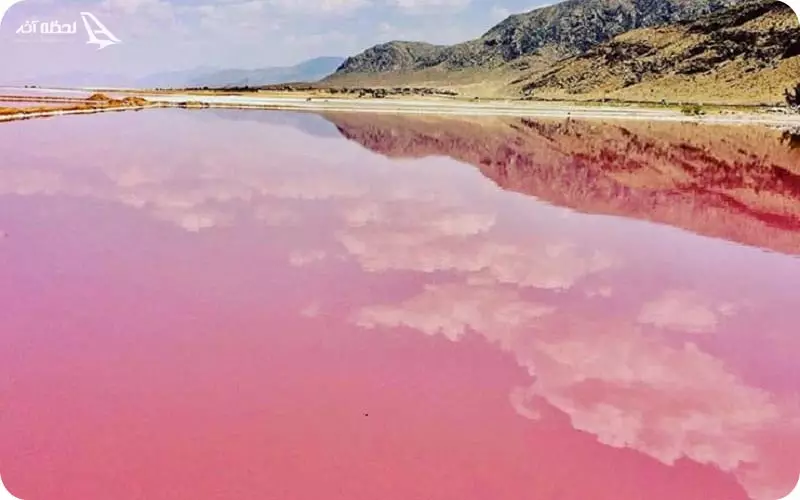 تالاب صورتی لیپار
