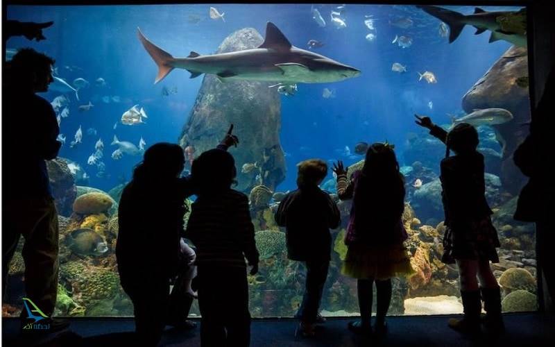 آکواریوم اقیانوسی لیسبون